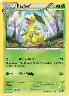 Bayleef, XY - BREAKpoint