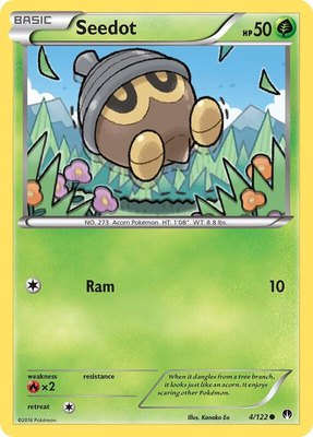 Seedot, XY - BREAKpoint