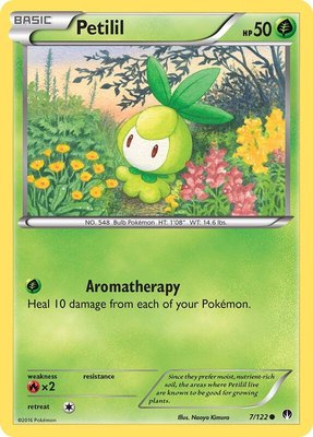 Petilil, XY - BREAKpoint