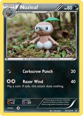 Nuzleaf, XY - BREAKpoint