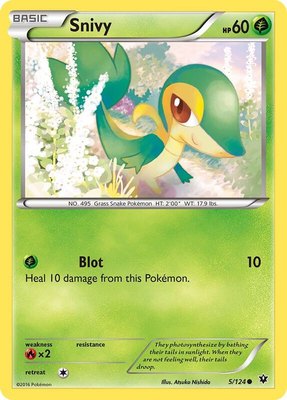 Snivy, XY - Fates Collide