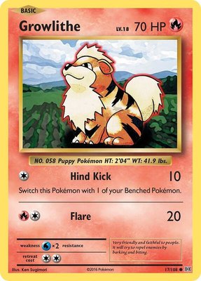 Growlithe, XY - Evolutions