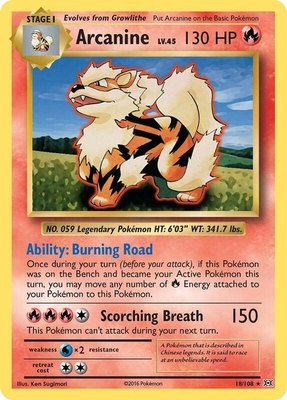 Arcanine, XY - Evolutions
