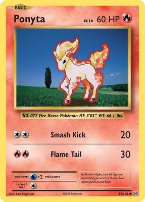 Ponyta, XY - Evolutions