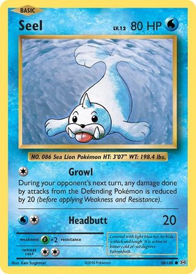 Seel, XY - Evolutions