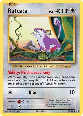 Rattata, XY - Evolutions