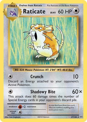 Raticate, XY - Evolutions