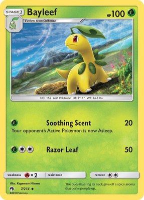 Bayleef, SM - Lost Thunder