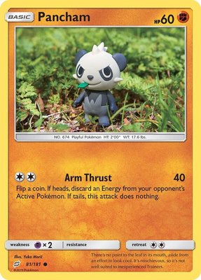 Pancham, SM - Team Up