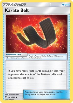 Karate Belt, SM - Unified Minds
