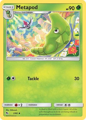 Metapod, Hidden Fates