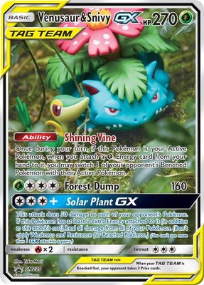 Venusaur & Snivy GX, SM Promos