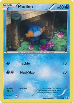 Mudkip (Sheen Holo), Miscellaneous Cards & Products