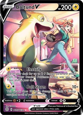 Boltund V, Brilliant Stars Trainer Gallery