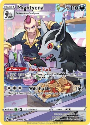 Mightyena, Astral Radiance Trainer Gallery