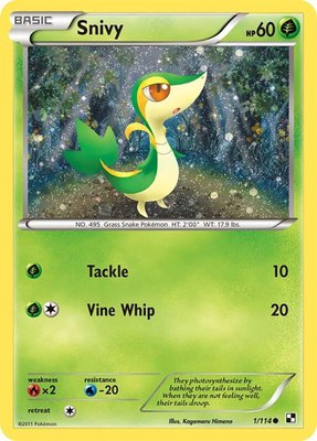 Snivy (Cosmos Holo), Miscellaneous Cards & Products