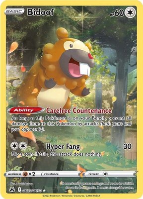 Bidoof, Crown Zenith: Galarian Gallery