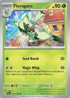 Floragato, Paldea Evolved