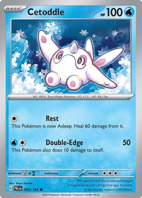 Cetoddle, Paldea Evolved