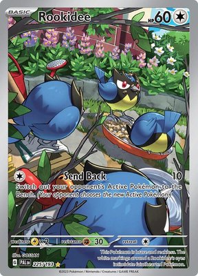 Rookidee, Paldea Evolved