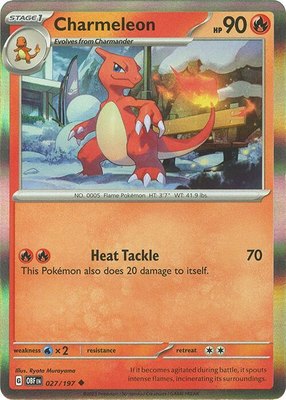 Charmeleon, Miscellaneous Cards & Products