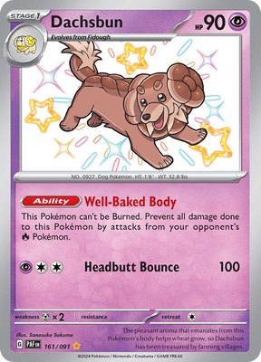 Dachsbun, Paldean Fates
