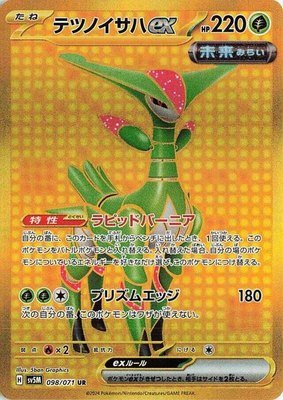 Iron Leaves ex, Cyber Judge
