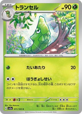 Metapod, Pokemon Card 151