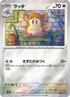 Raticate (Poke Ball Pattern), Pokemon Card 151