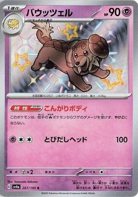Dachsbun, Shiny Treasure ex