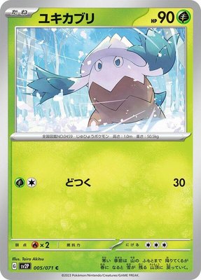 Snover, Snow Hazard