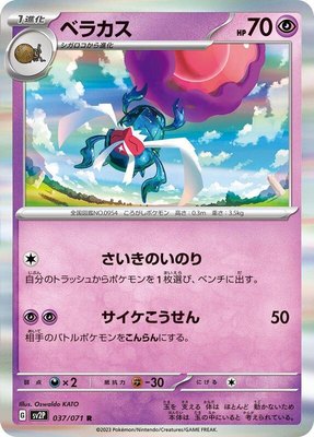 Rabsca, Snow Hazard