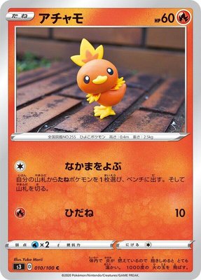 Torchic, Infinity Zone