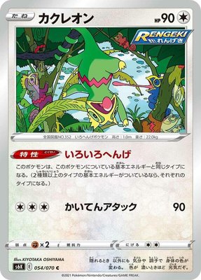 Kecleon, Jet-Black Spirit