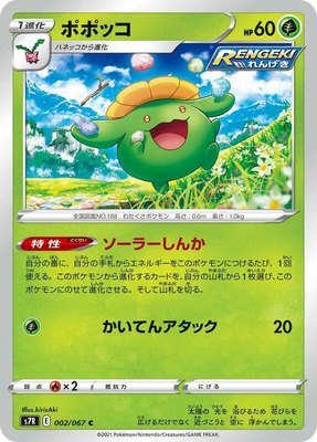 Skiploom, Blue Sky Stream