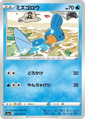 Mudkip, Eevee Heroes
