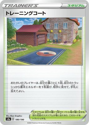Training Court, Shiny Star V