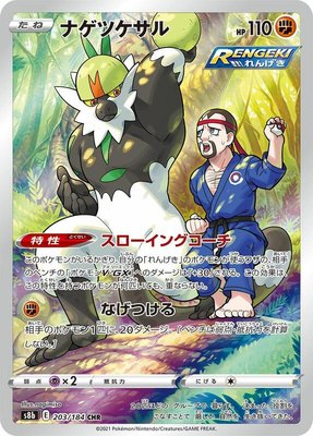 Passimian 203/184 from Japanese VMAX Climax