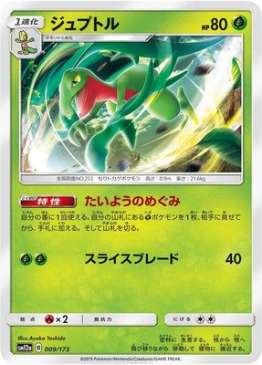 Grovyle, TAG TEAM GX: Tag All Stars