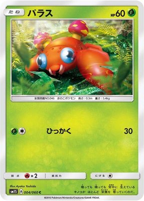Paras, Collection Sun