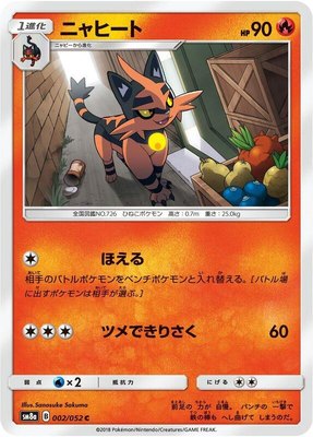 Torracat, Dark Order