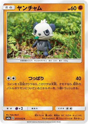 Pancham, Dark Order