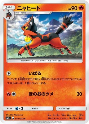 Torracat, Shining Legends