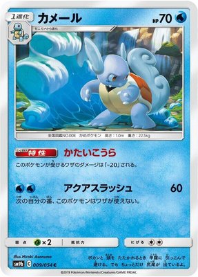 Wartortle, Full Metal Wall