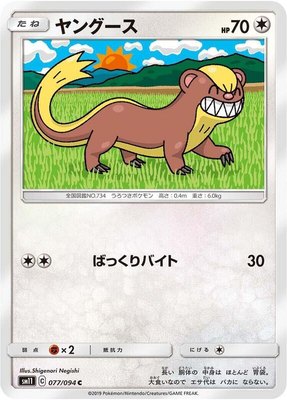 Yungoos, Miracle Twin