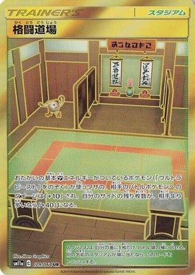 Martial Arts Dojo, Remix Bout