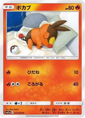 Tepig, Remix Bout