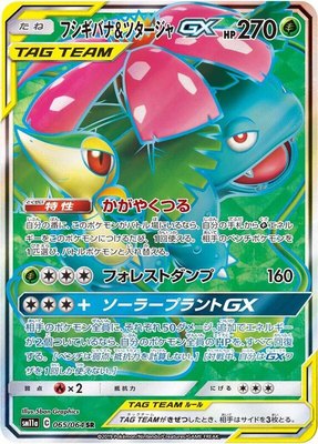 Venusaur & Snivy GX, Remix Bout