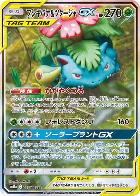 Venusaur & Snivy GX, Remix Bout