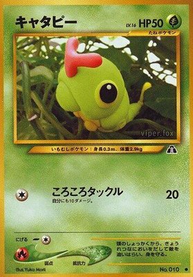 Caterpie, Crossing the Ruins...